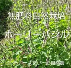 ＊Drop  Cat＊様 リクエスト 4点 まとめ商品