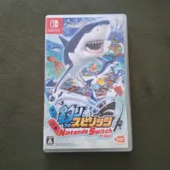 Nintendo switch 釣りスピリッツ ソフト