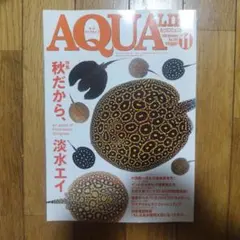 月刊アクアライフ 2008年11月号 淡水エイ特集