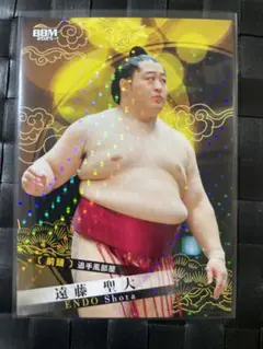 遠藤聖大直筆サインカード60枚限定ラストナンバー 遠藤聖大直筆サインカード60枚限定ラストナンバー 遠藤 聖大