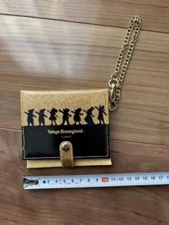 ディズニーパスケース