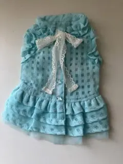 XS KALINA シアー ギンガム ワンピース カリーナ