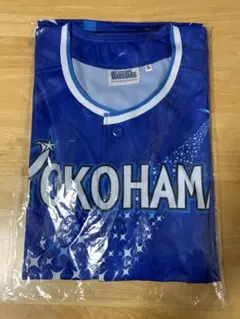 Item thumbnail for item a1396310-36bd-4028-b31d-57eb15fee47d