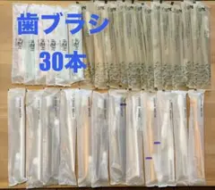歯ブラシ30本セット ホテルアメニティ 使い捨て歯ブラシ