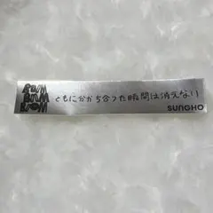 BOYNEXTDOOR ボネクド 銀テ 銀テープ風 ステッカー ソンホ SNS