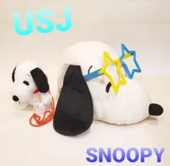 USJ　スヌーピー　被り物　15周年限定品　ファンキャップ　ポーチ　2点セット