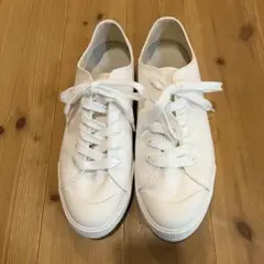 Item thumbnail for item 1be54b19-d8e9-44dc-bdeb-495f7c884628