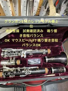 総メンテナンス済みクランポンE13完全整備　試奏確認済み鳴り響き音程バランスOKのサムネイル