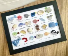 24種シーグラスアートNo401図鑑　海の生き物　インテリア　ギフト　プレゼント