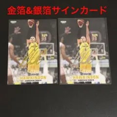 ホーキンソン