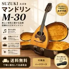 SUZUKI スズキ マンドリン M-30 ハードケース付きのサムネイル