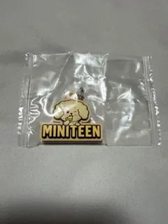 ミニティーン seventeen DK ドギョム　めじるしアクセサリー