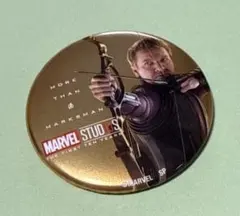 アベンジャーズ ホークアイ エンドゲーム スタンド缶バッジ - メルカリ