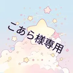 こあら様専用　1つ