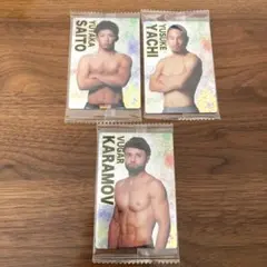 Item thumbnail for item 4b939d5e-5512-4570-994d-c8dbf21eee3f