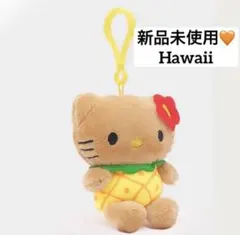 ハワイ限定 ご当地 ハローキティ ガングロ ぬいぐるみ ハワイ限定 ご当地 ハローキティ ガングロ ぬいぐるみ