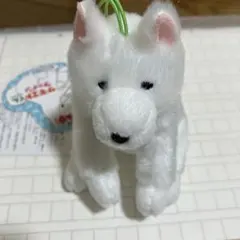 AMUSE サモエドくんファイン ぬいぐるみ マスコット