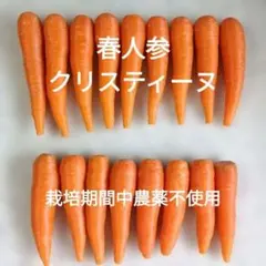 ★栽培期間中農薬不使用★ 人参 クリスティーヌのサムネイル