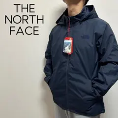 日本未入荷　海外限定　ノースフェイス　マウンテンパーカー　マンパ　DRYVENT