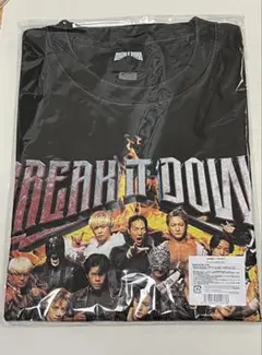 THE RAMPAGE BREAK IT DOWN Tシャツ　Mサイズ