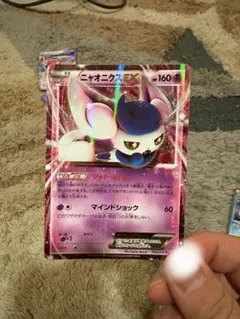 シャワーズEX：バトル強化セット 水/超 PROMO XYシリーズプロモーショ