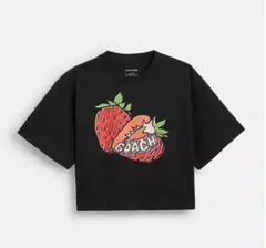 Item thumbnail for item edbe7e4e-42f6-4f4e-9dd7-8d26c11a3cee