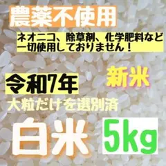 【袋数限定値下げ】自然栽培 農薬不使用 白米 米 精米のサムネイル