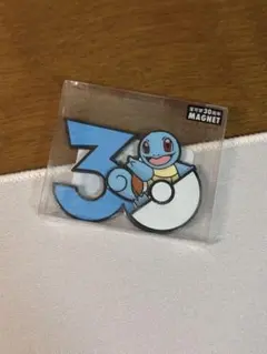ミジュマル ポケモン30周年 中国限定 マグネット - メルカリ