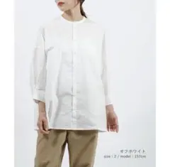 テントラインシャツ NATURAL LAUNDRY レディースのサムネイル