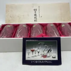 y*a様 HOYAクリスタルタンブラー5個セット未使用品