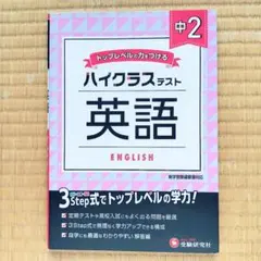 Item thumbnail for item 1820256c-f791-4640-823a-02657cbb373f