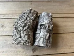 ✨２個セット【752】バージンコルク　チューブ　着生植物　爬虫類　ポルトガル