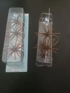 にゃんちゅー様 リクエスト 2点 まとめ商品