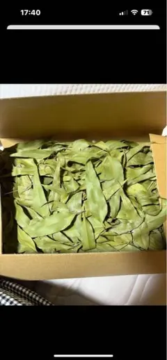 完全無農薬‼️自宅栽培‼️レモンユーカリ‼️葉っぱ‼️ドライフラワー‼️200枚前後‼️