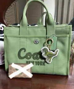 koki愛用 コーチ COACH レキシー バッグ・シグネチャー 新品 未使用 