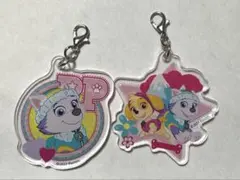 パウパト エベレスト スカイ アクリルチャーム2個セット