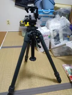 Item thumbnail for item 62be9a68-7d5c-4df5-9a60-04c5b2079f5c