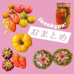 Kwhr様 リクエスト 3点 まとめ商品