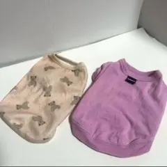 Item thumbnail for item b1f0a2cd-8e22-4158-9fef-98cc495fff06