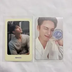 SEVENTEEN ミンギュ CaratZone new_ トレカ