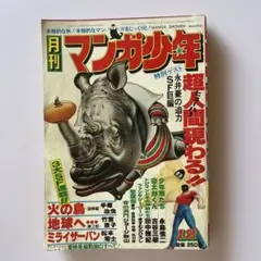 C074ヒロ・ヤマガタ作 ピクニックⅡ 限定250部 - メルカリ