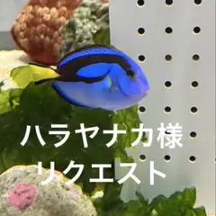 ハラヤナカ様　リクエスト　パペットコスチューム