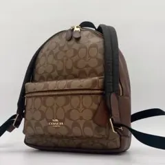COACH シグネチャー リュック ブラウンシグネチャー58314 IMAA8 - メルカリ