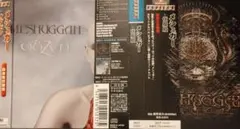 デスメタル Meshuggah メシュガー 国内盤2枚セット ヘヴィメタル