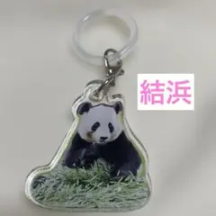 アドベンチャーワールド チャーム 楓浜 - メルカリ