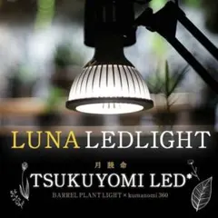 ツクヨミ TSUKUYOMI tukuyomi 20w 5/5 2025年最新】tsukuyomi ledの人気アイテム - メルカリ