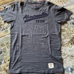 Abercrombie & Fitch 刺繍ロゴ Tシャツ Sサイズ グレー