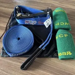 Item thumbnail for item 174486be-ed8f-44ec-903a-7a37e378f5c8