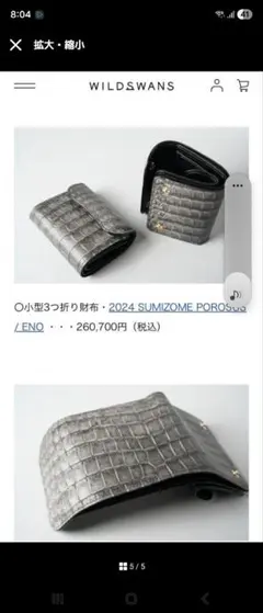 2025年最新】ポロサス ワイルドスワンズの人気アイテム - メルカリ