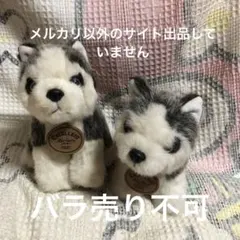 2026年最新】シュタイフ ハスキーの人気アイテム - メルカリ